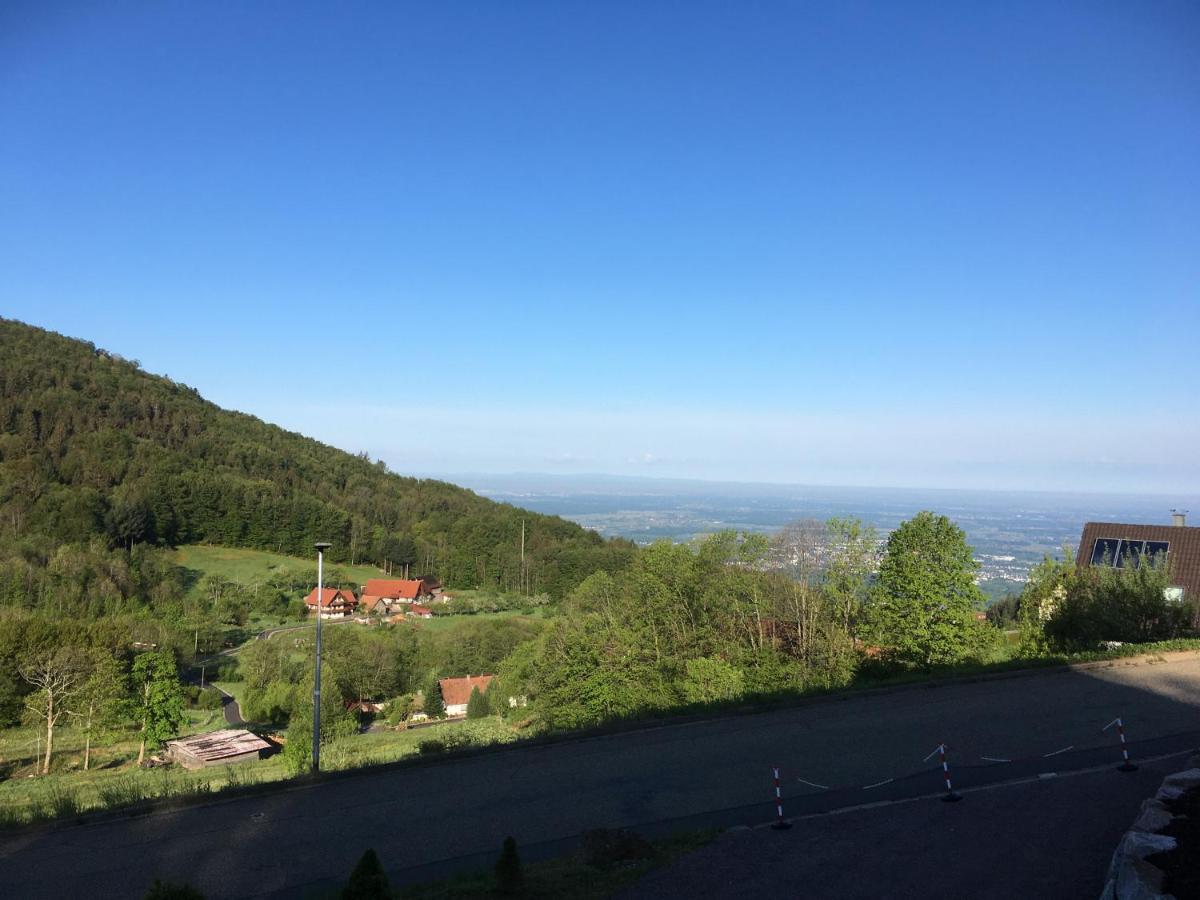Apartment Ferienwohnung Brandmatt - Weitblick - 54Qm Sasbachwalden Exteriör bild